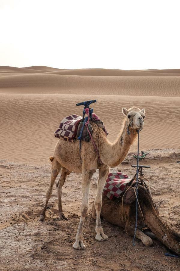 ホテル Kasbah Aitisfoul Tagounite エクステリア 写真